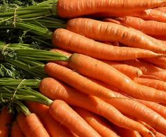 Carrots